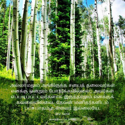 Picture 03 - கலாத்தியர் 2:6 TAMIRV - அல்லாமலும் - Bible Verse Picture
