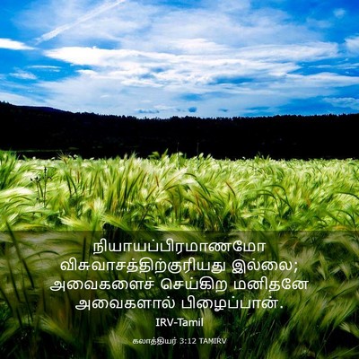 Picture 03 - கலாத்தியர் 3:12 TAMIRV - நியாயப்பிரமாணமோ - Bible Verse Picture