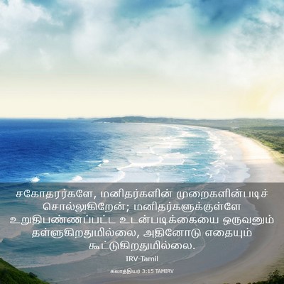 Picture 03 - கலாத்தியர் 3:15 TAMIRV - சகோதரர்களே, - Bible Verse Picture