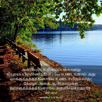 Picture 03 - கலாத்தியர் 3:18 TAMIRV - அன்றியும், - Bible Verse Picture