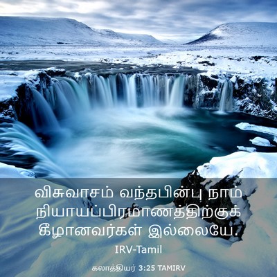 Picture 03 - கலாத்தியர் 3:25 TAMIRV - விசுவாசம் - Bible Verse Picture