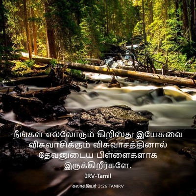 Picture 03 - கலாத்தியர் 3:26 TAMIRV - நீங்கள் எல்லோரும் - Bible Verse Picture