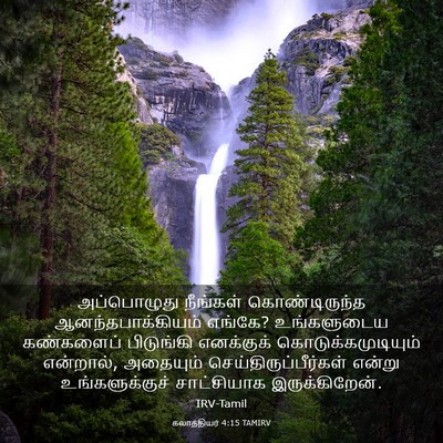 Picture 03 - கலாத்தியர் 4:15 TAMIRV - அப்பொழுது நீங்கள் - Bible Verse Picture