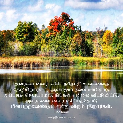 Picture 03 - கலாத்தியர் 4:17 TAMIRV - அவர்கள் - Bible Verse Picture