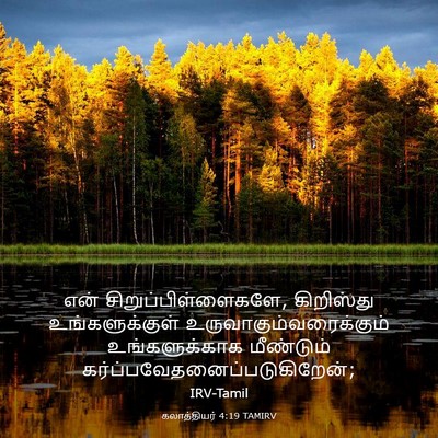 Picture 03 - கலாத்தியர் 4:19 TAMIRV - என் - Bible Verse Picture