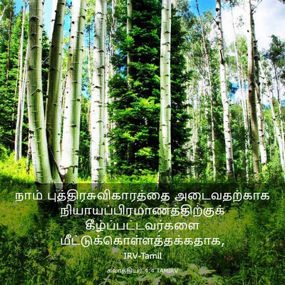Picture 03 - கலாத்தியர் 4:4 TAMIRV - நாம் - Bible Verse Picture