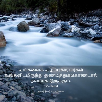 Picture 03 - கலாத்தியர் 5:12 TAMIRV - உங்களைக் - Bible Verse Picture