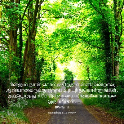 Picture 03 - கலாத்தியர் 5:16 TAMIRV - பின்னும் நான் - Bible Verse Picture