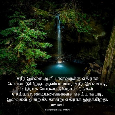 Picture 03 - கலாத்தியர் 5:17 TAMIRV - சரீர இச்சை - Bible Verse Picture