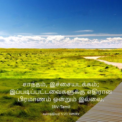 Picture 03 - கலாத்தியர் 5:23 TAMIRV - சாந்தம், - Bible Verse Picture