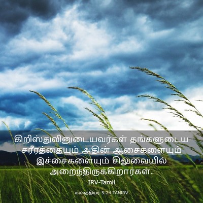 Picture 03 - கலாத்தியர் 5:24 TAMIRV -  - Bible Verse Picture