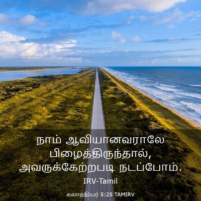 Picture 03 - கலாத்தியர் 5:25 TAMIRV - நாம் ஆவியானவராலே - Bible Verse Picture