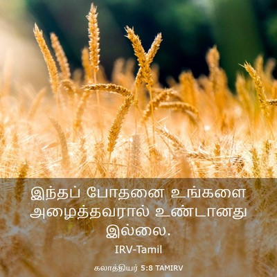 Picture 03 - கலாத்தியர் 5:8 TAMIRV - இந்தப் போதனை - Bible Verse Picture