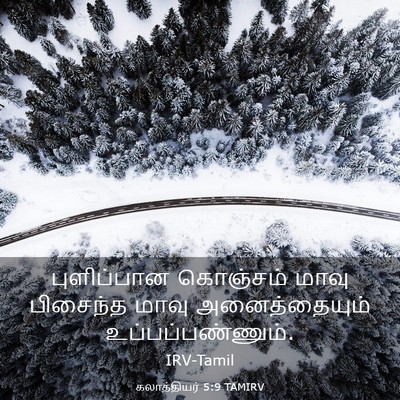Picture 03 - கலாத்தியர் 5:9 TAMIRV - புளிப்பான கொஞ்சம் - Bible Verse Picture