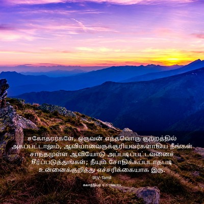 Picture 03 - கலாத்தியர் 6:1 TAMIRV - சகோதரர்களே, - Bible Verse Picture