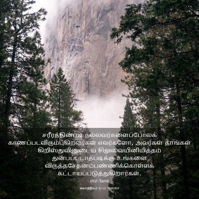 Picture 03 - கலாத்தியர் 6:12 TAMIRV - சரீரத்தின்படி - Bible Verse Picture