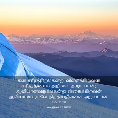 Picture 03 - கலாத்தியர் 6:8 TAMIRV - தன் - Bible Verse Picture