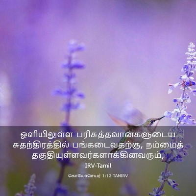 Picture 03 - கொலோசெயர் 1:12 TAMIRV - ஒளியிலுள்ள - Bible Verse Picture