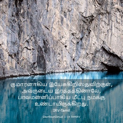 Picture 03 - கொலோசெயர் 1:14 TAMIRV - குமாரனாகிய - Bible Verse Picture