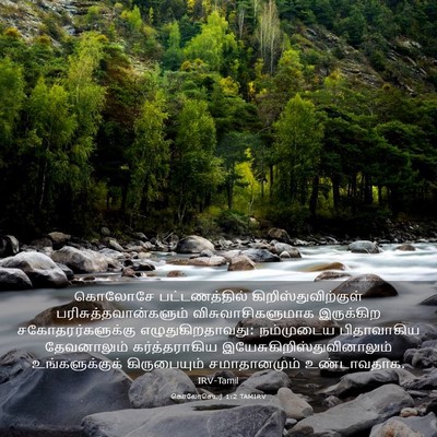 Picture 03 - கொலோசெயர் 1:2 TAMIRV - கொலோசே - Bible Verse Picture