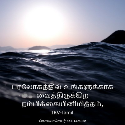 Picture 03 - கொலோசெயர் 1:4 TAMIRV - பரலோகத்தில் - Bible Verse Picture