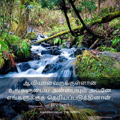 Picture 03 - கொலோசெயர் 1:8 TAMIRV -  - Bible Verse Picture