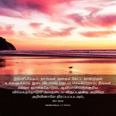 Picture 03 - கொலோசெயர் 1:9 TAMIRV - இதினிமித்தம், - Bible Verse Picture
