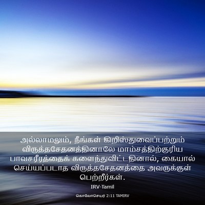 Picture 03 - கொலோசெயர் 2:11 TAMIRV - அல்லாமலும், - Bible Verse Picture
