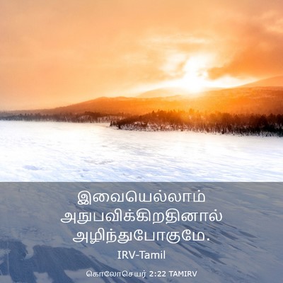 Picture 03 - கொலோசெயர் 2:22 TAMIRV - இவையெல்லாம் - Bible Verse Picture