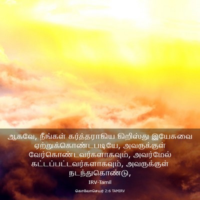 Picture 03 - கொலோசெயர் 2:6 TAMIRV - ஆகவே, நீங்கள் - Bible Verse Picture