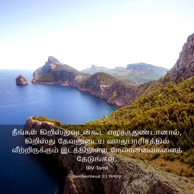 Picture 03 - கொலோசெயர் 3:1 TAMIRV - நீங்கள் - Bible Verse Picture