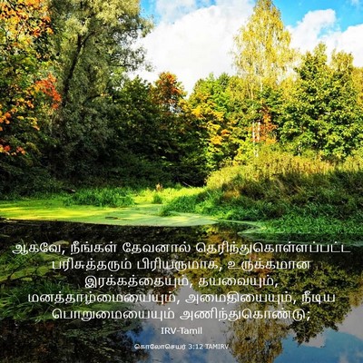 Picture 03 - கொலோசெயர் 3:12 TAMIRV - ஆகவே, நீங்கள் - Bible Verse Picture