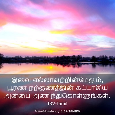 Picture 03 - கொலோசெயர் 3:14 TAMIRV - இவை - Bible Verse Picture