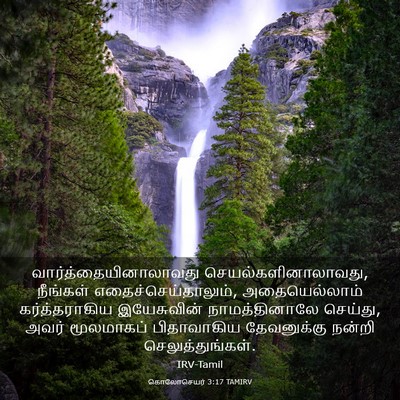 Picture 03 - கொலோசெயர் 3:17 TAMIRV -  - Bible Verse Picture