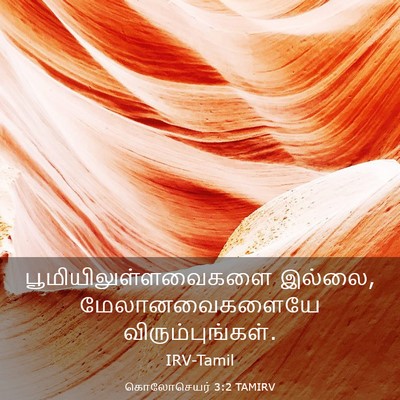 Picture 03 - கொலோசெயர் 3:2 TAMIRV - பூமியிலுள்ளவைகளை - Bible Verse Picture