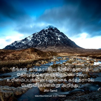 Picture 03 - கொலோசெயர் 3:23 TAMIRV - நீங்கள் - Bible Verse Picture