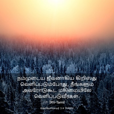 Picture 03 - கொலோசெயர் 3:4 TAMIRV - நம்முடைய ஜீவனாகிய - Bible Verse Picture