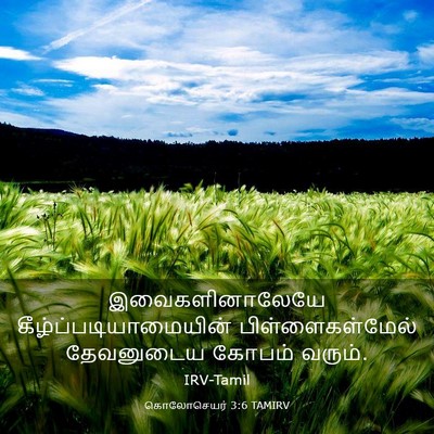 Picture 03 - கொலோசெயர் 3:6 TAMIRV - இவைகளினாலேயே - Bible Verse Picture