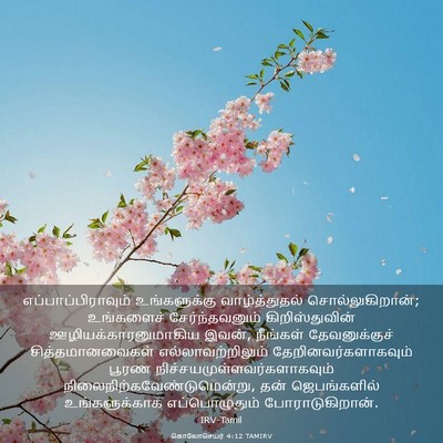 Picture 03 - கொலோசெயர் 4:12 TAMIRV - எப்பாப்பிராவும் - Bible Verse Picture