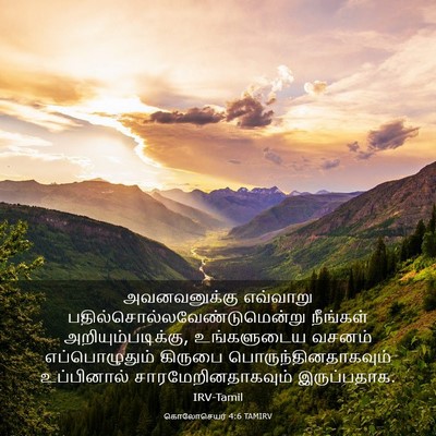 Picture 03 - கொலோசெயர் 4:6 TAMIRV - அவனவனுக்கு - Bible Verse Picture