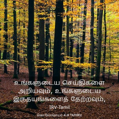Picture 03 - கொலோசெயர் 4:8 TAMIRV - உங்களுடைய - Bible Verse Picture