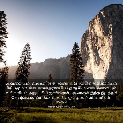 Picture 03 - கொலோசெயர் 4:9 TAMIRV - அவனையும், - Bible Verse Picture