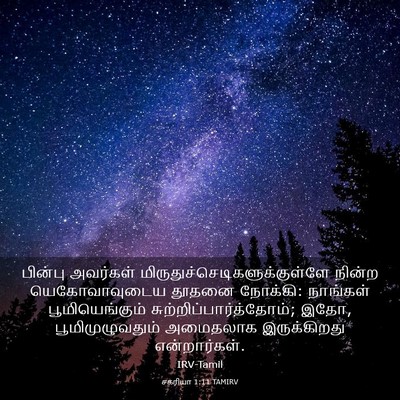 Picture 03 - சகரியா 1:11 TAMIRV - பின்பு அவர்கள் - Bible Verse Picture