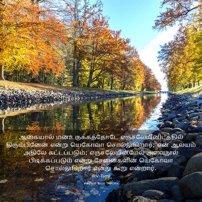 Picture 03 - சகரியா 1:16 TAMIRV - ஆகையால் - Bible Verse Picture