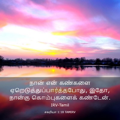 Picture 03 - சகரியா 1:18 TAMIRV - நான் என் கண்களை - Bible Verse Picture