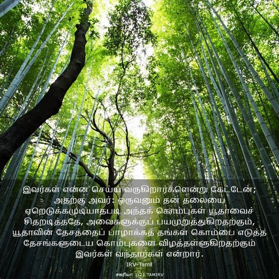 Picture 03 - சகரியா 1:21 TAMIRV - இவர்கள் என்ன - Bible Verse Picture