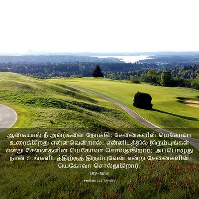 Picture 03 - சகரியா 1:3 TAMIRV - ஆகையால் நீ - Bible Verse Picture