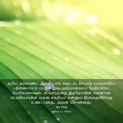 Picture 03 - சகரியா 1:7 TAMIRV - தரியு அரசாண்ட - Bible Verse Picture