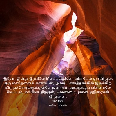 Picture 03 - சகரியா 1:8 TAMIRV - இதோ, இன்று இரவிலே - Bible Verse Picture