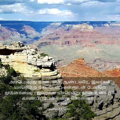 Picture 03 - சகரியா 1:9 TAMIRV - அப்பொழுது நான்: - Bible Verse Picture